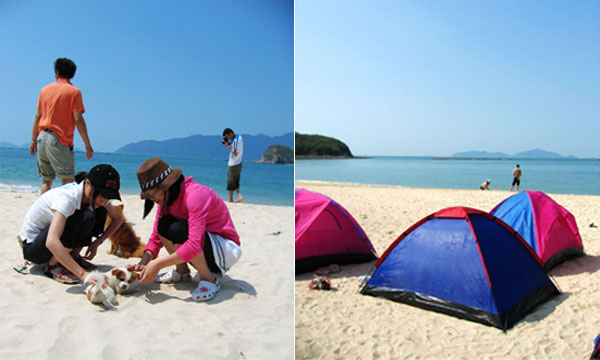 180752f3v723x3l5020wwf.jpg